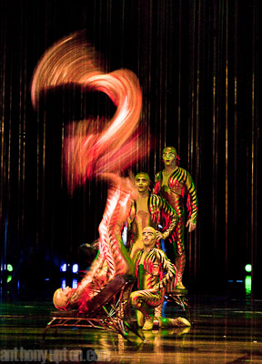 _MG_8487 _MG_8487